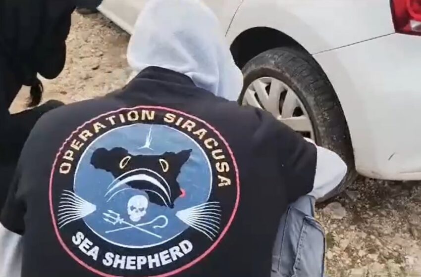  Intimidazione a Siracusa ma Sea Shepherd non si ferma: “Guerra alla pesca di frodo”