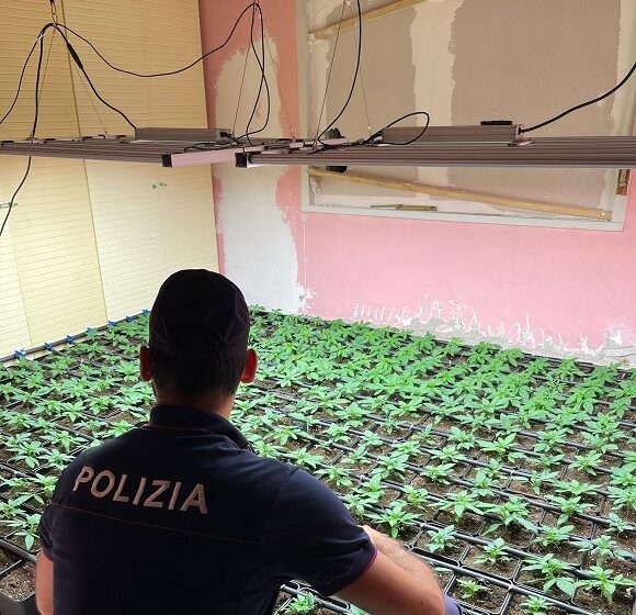  Una serra con mille piante di marijuana, arrestato 38enne ad Augusta