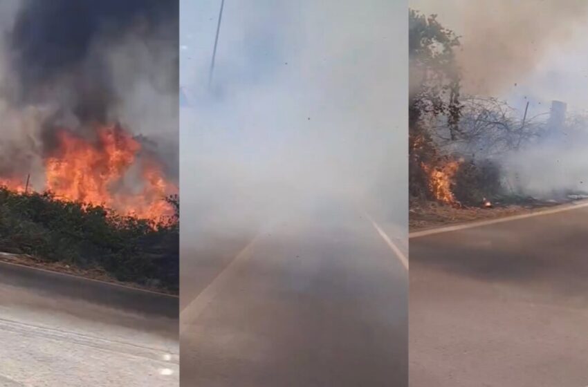  Incendi, sterpaglie e rifiuti in fiamme: cinque roghi oggi a Siracusa