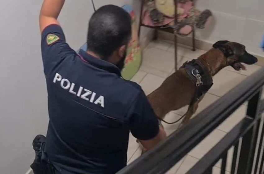  Servizio antidroga ad Augusta, cinturata palazzina in contrada Scardina: denunciato 37enne