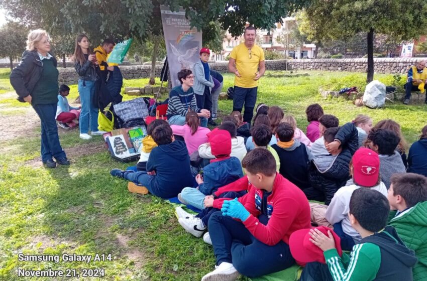  Nuovi alberi alla Balza Akradina, piantumati lecci e carrubi: donati da Natura Sicula