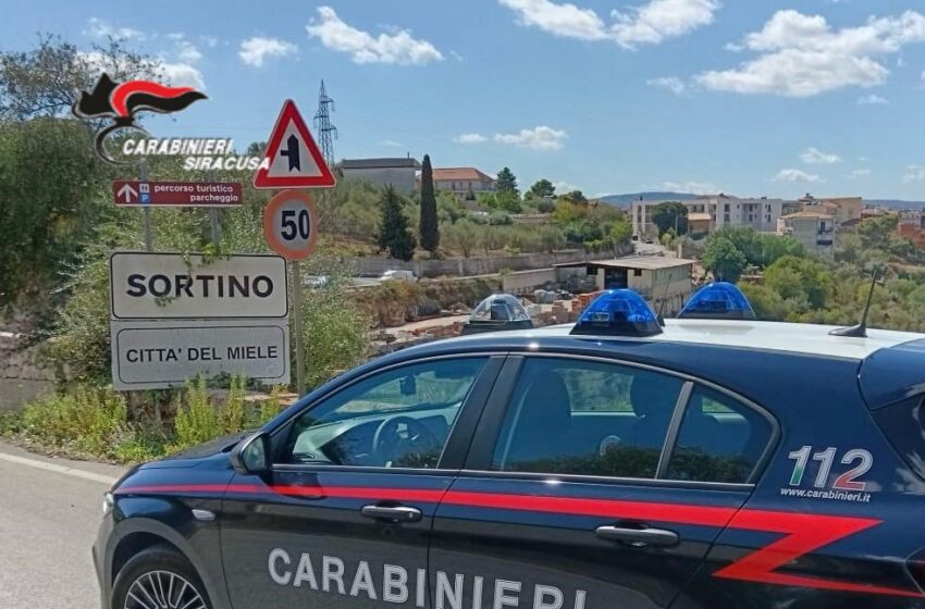  Marijuana nell’armadio, allevatore 28enne denunciato a Sortino