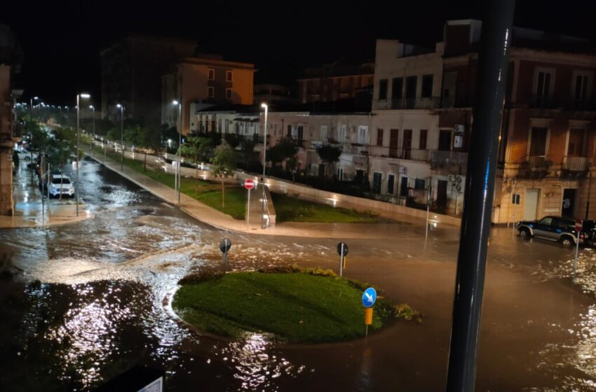  Riqualificazione sott’acqua, il Codacons si rivolge alla Corte dei Conti: “Lavori dannosi”