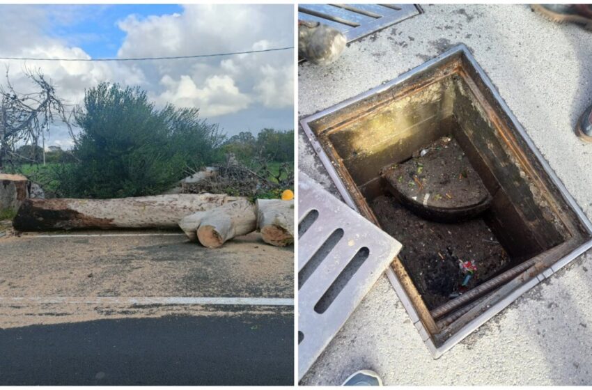  Caditoie ripulite, alberi abbattuti: così Siracusa si è preparata alla pioggia ed al vento