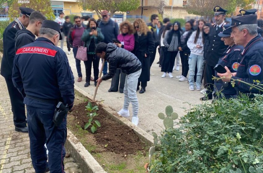  I Carabinieri piantano la talea dell’Albero Falcone con gli studenti dell’istituto “Archimede” di Rosolini